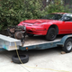 Mama was not happy at this sight turning up in the driveway. I might do this again soon!